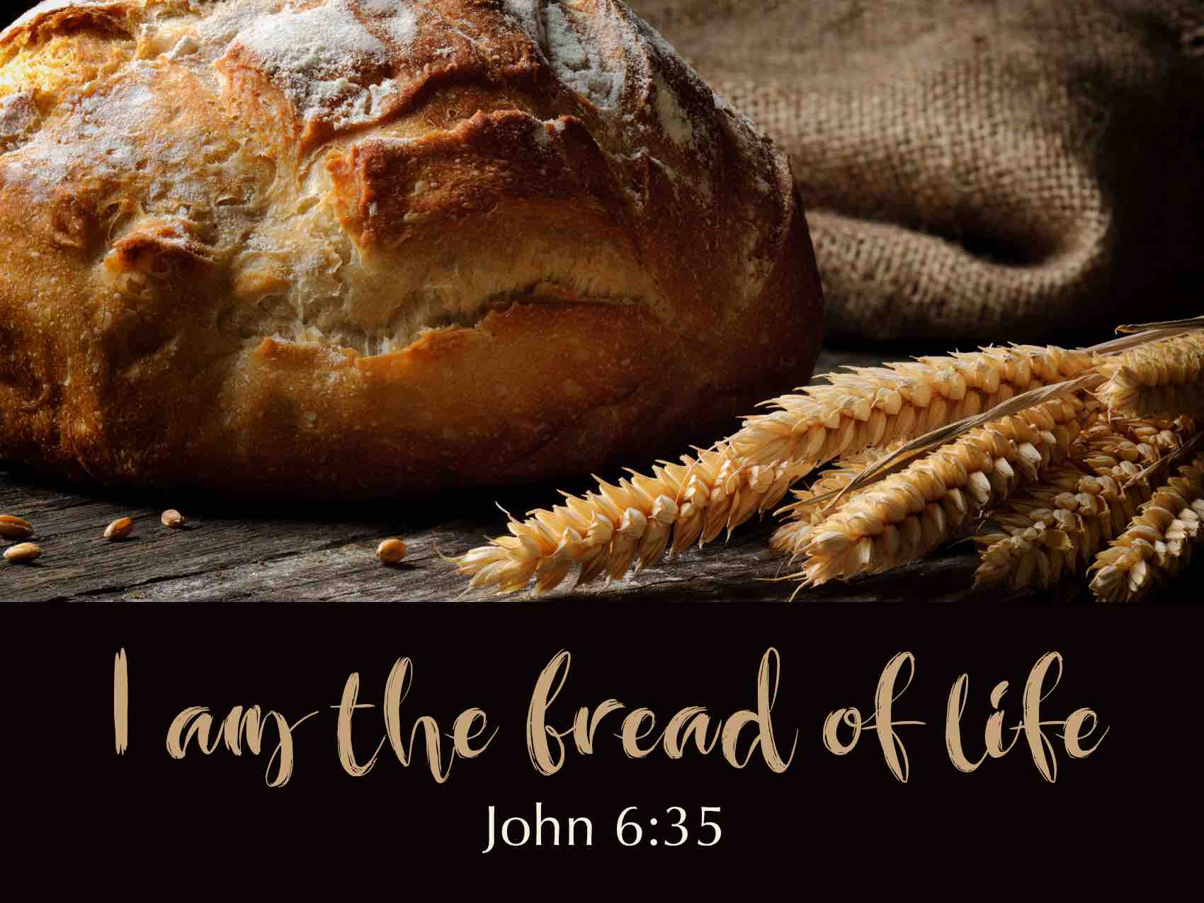 Living Bread from Heaven - Welcome to St. Timothy!